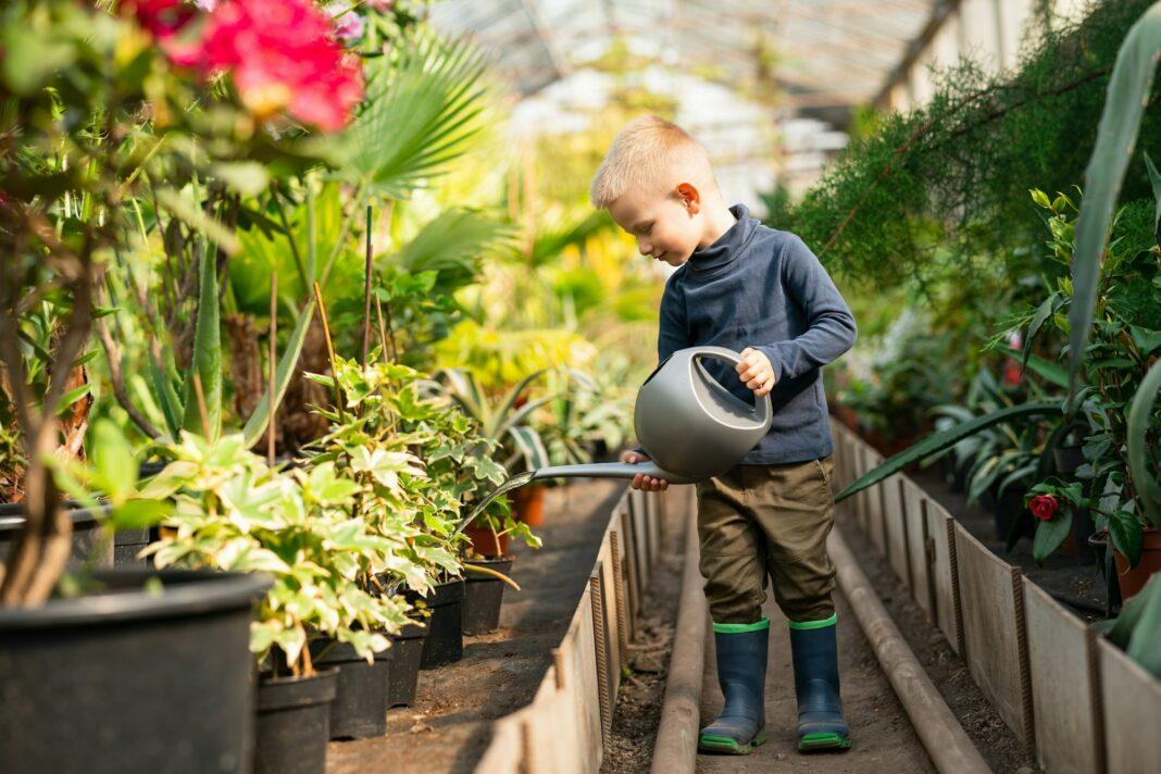 Boy watering pots with plants in a greenhouse