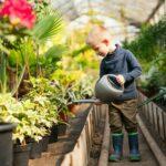Boy watering pots with plants in a greenhouse