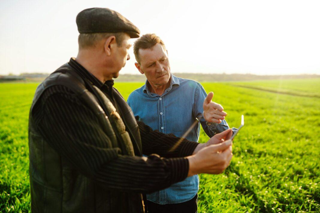 Farmers with tablet in the field. Smart farm. Agriculture, gardening or ecology concept.