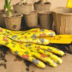 gardening composition with yellow flowers and gardening tools, seedlings and crops