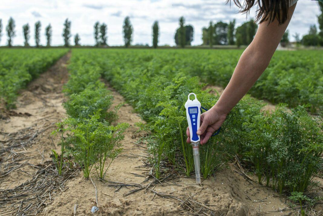 Measure soil with digital device. Green plants and woman farmer